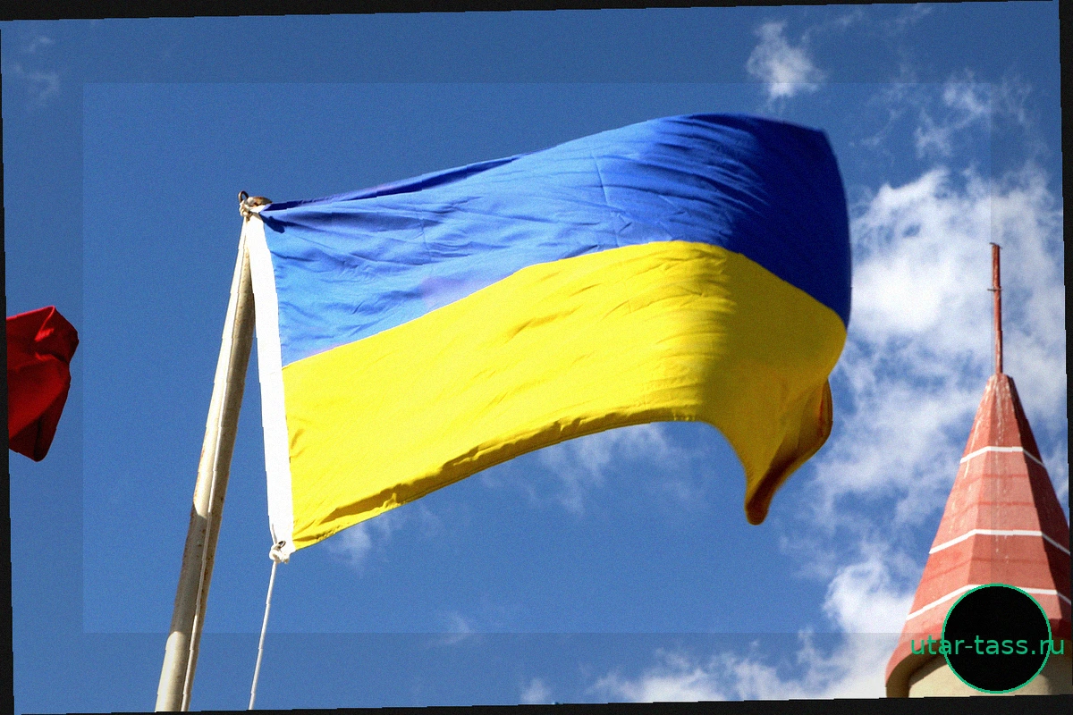 На Украине более 50 солдат ВСУ задержали за критику власти