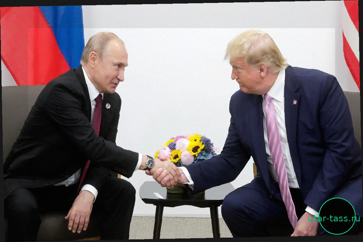 В МИД России оценили шансы на встречу Путина и Трампа на саммите АТЭС
