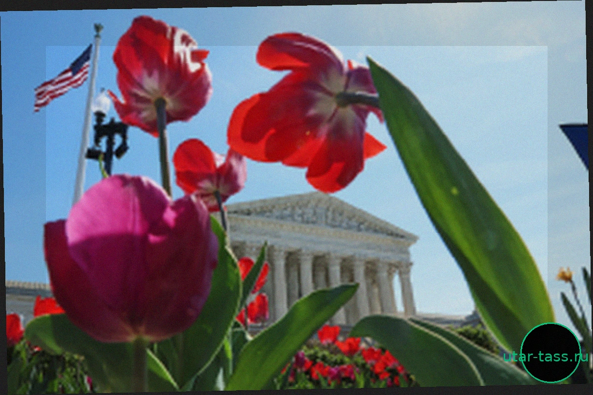 Решение Верховного суда по делу "Луизиана против Калле" – ложь