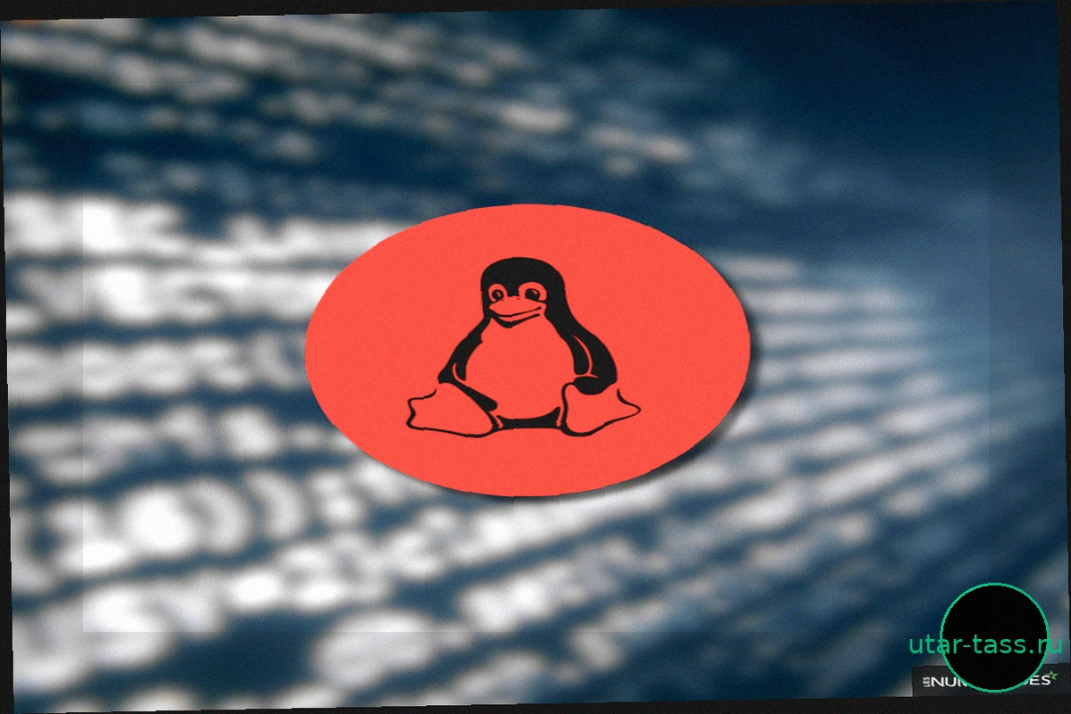 Linux на грани кризиса: ИИ делает систему неуправляемой, заявил Торвальдс