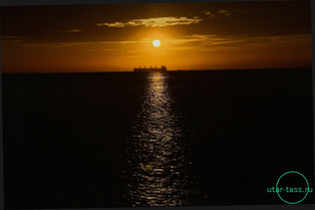 Еще одна статья по "климатической экономике" отозвана