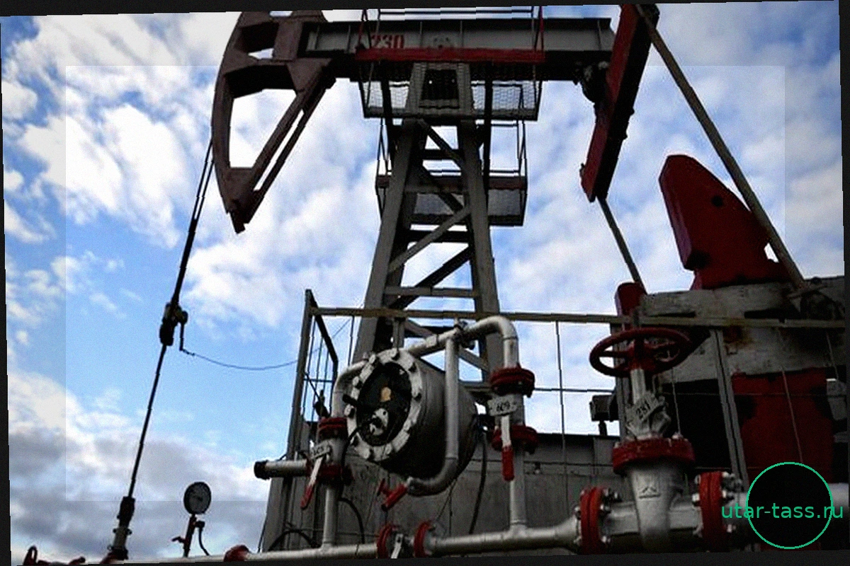 Кремль обвиняет «преступные действия» Киева в дефиците нефти на мировых рынках