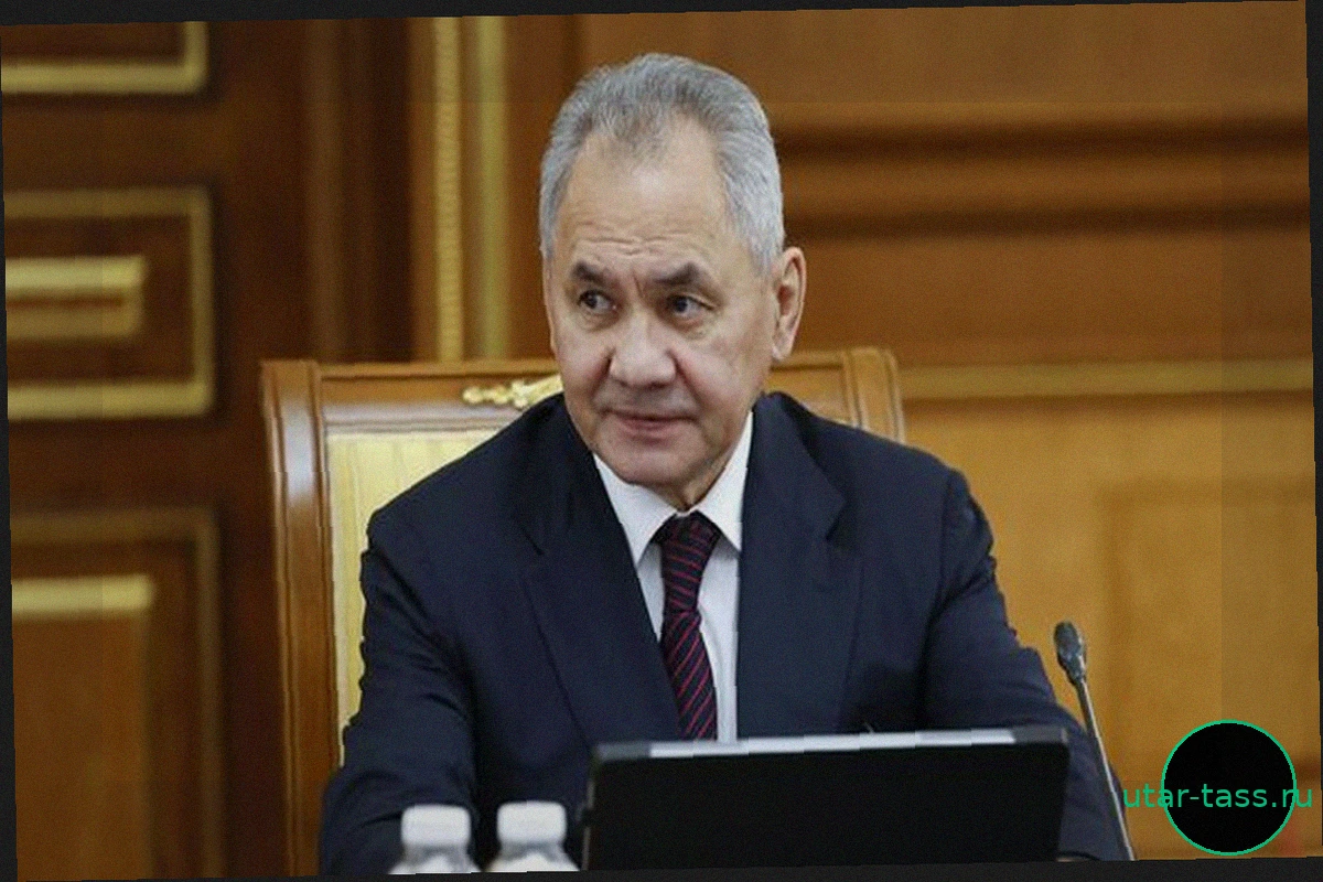 Запад Заморозил Около $590 Млрд Активов Ряда Стран, Включая Россию, — Шойгу